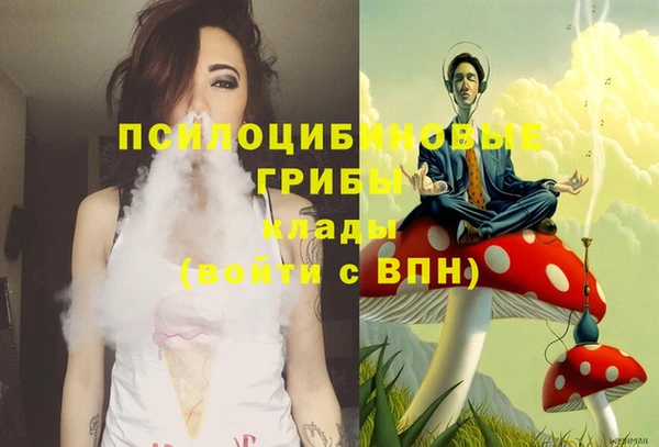 амфетамин Белокуриха