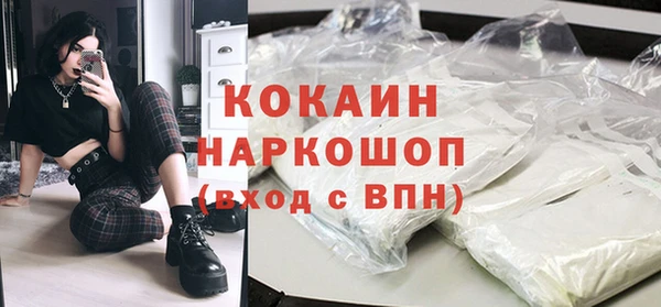 шишки Горно-Алтайск